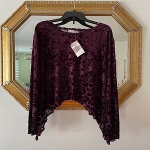 Burgundy Velvet Burnout Pullover Top
